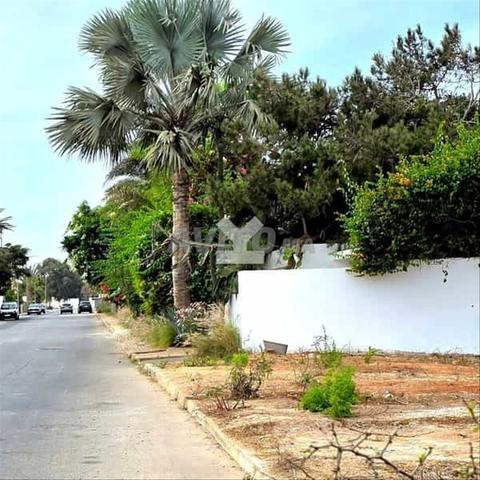 155252-بيع أرض في الدار البيضاء عين الدياب بمساحة 1174