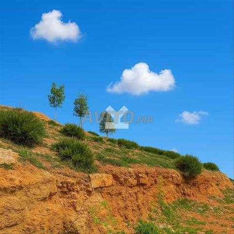 118701-بيع أرض في الرباط حي المنزه بمساحة 443