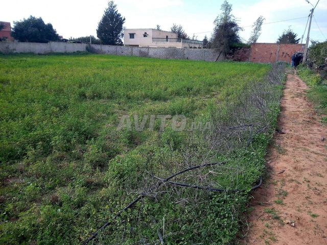 المنطقة الحرة الأطلسية القنيطرة - 2