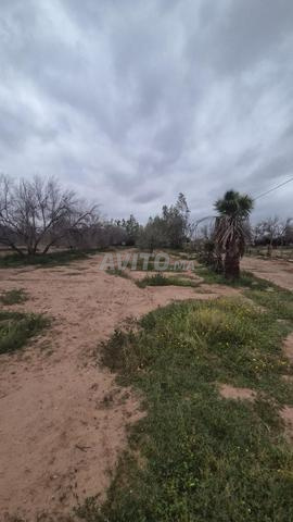 أرض ملكية في الكيلومتر 22