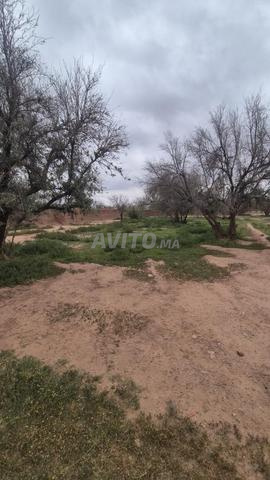 أرض ملكية في الكيلومتر 22 - 2