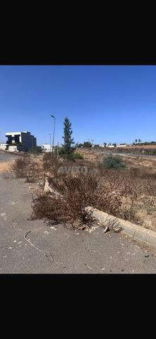 فرصة لا تفوت قطعة أرض فيلا 221 متر - 2