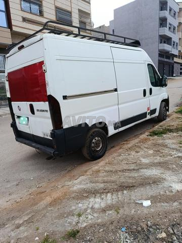 جمبر فيات - 2