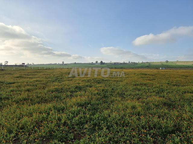 17290 titré à wlad hamdan - 2