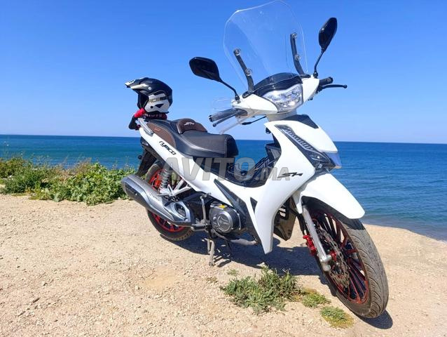 RYMCO SH 2025 - نظيفة جدا (4100 كم) - تطوان - 2