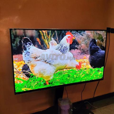 TV Samsung smart 50 pousse (Europe) - 2
