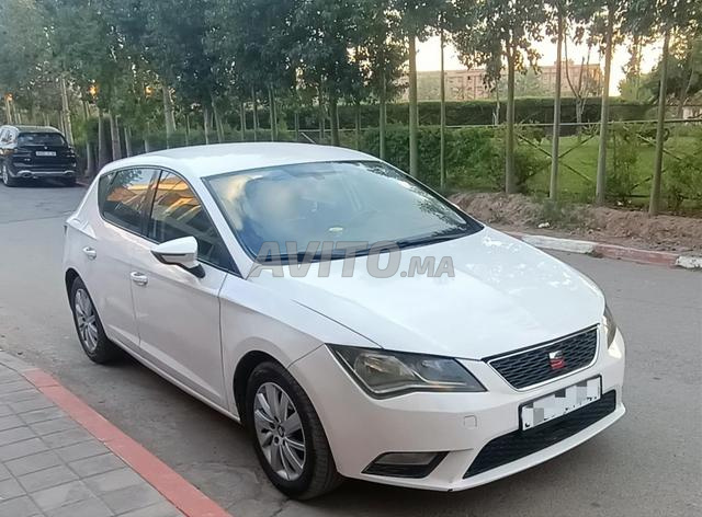 Marrakech Palmier - 2