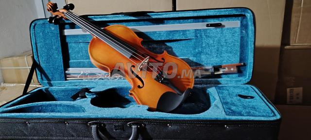 Violon 4/4 bois massif. Sandman