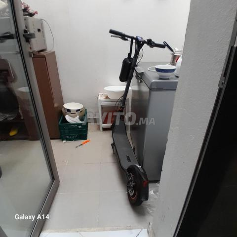 Mosalla Castia prix négociable - 2