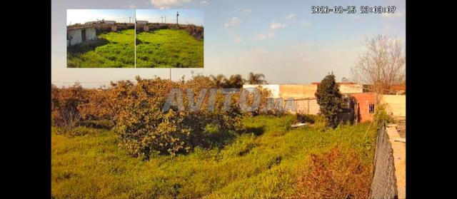 Terrain titré de 1500 m² à vendre - 2