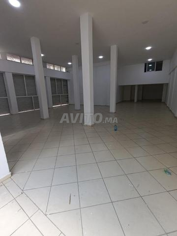 ماكاسا للإيجار - 2