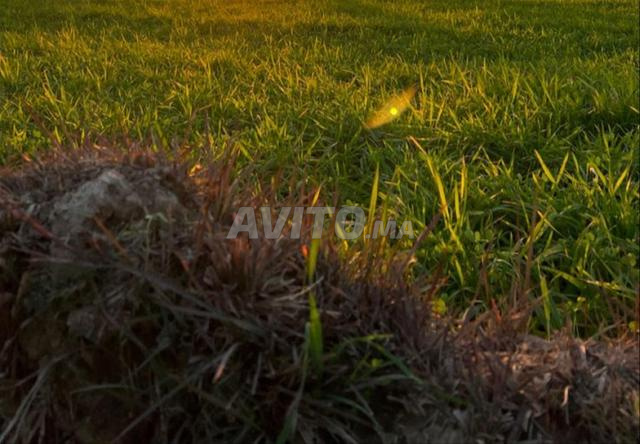 أرض في الشتوكة ايت باها قريبة من الطريق الرئيسية