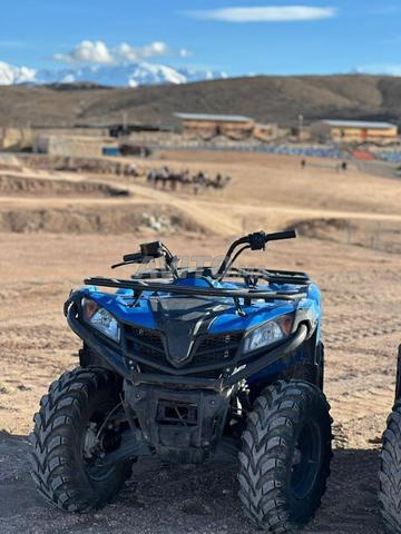 دراجة رباعية سي إف موتو - 2