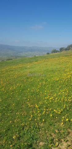 Terrain titré à vendre