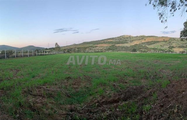 3 قطع أرضية فلاحية للبيع - 2