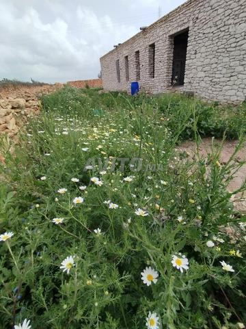 منزل للإيجار الشهري في منطقة هادئة - 2