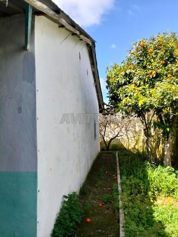 منزل بلدي حد الغربية - 2