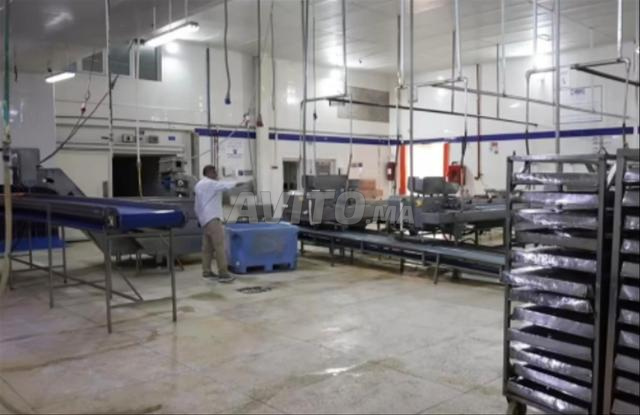 مستودع 400 متر مجهز لتجميد الأسماك والخضروات - 2