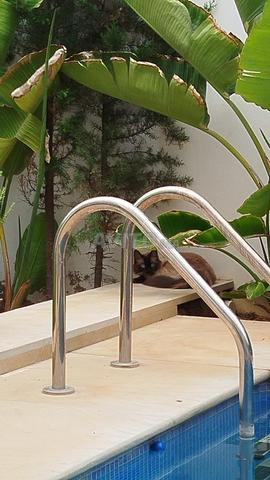 فيلا جميلة مطلة على البحر - 2