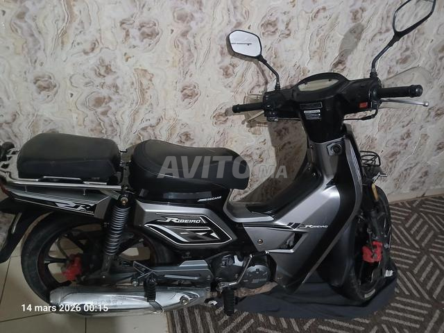 Nouasser Berchid - 2