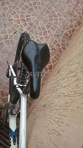 Vélo WHEELER ORIGINAL ✅️ - 2