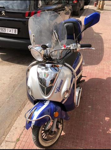 CIMATTI HAVANA MODEL 2023/11 - 2