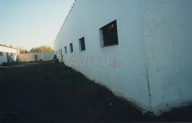 للبيع مزرعة فلاحية محفظة - 2