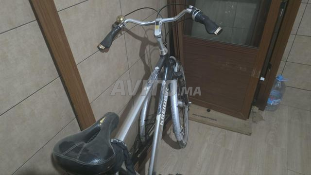 Kreidler Zaandam - 2