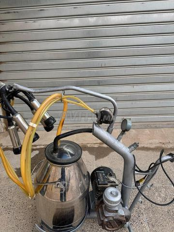 حلّابة نظيفة للبيع 25 لتر اينوكس - 2