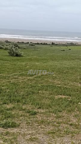 أرض على البحر بيباه - 2