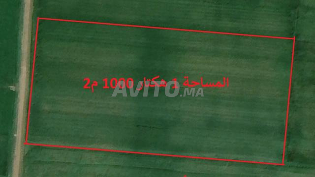 VENTE DE TERRAINS & FERMES À AZEMMOUR - 2