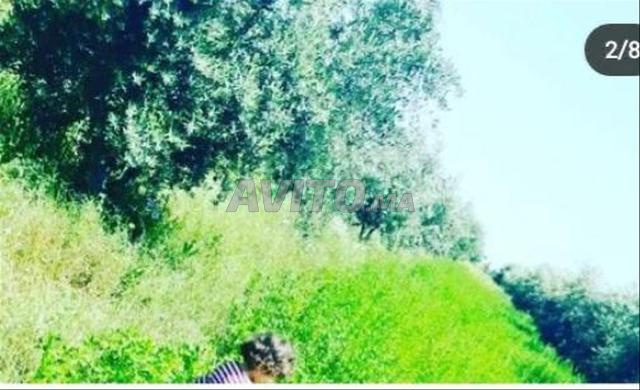 Ferme titré de 4,5 hectars - 2