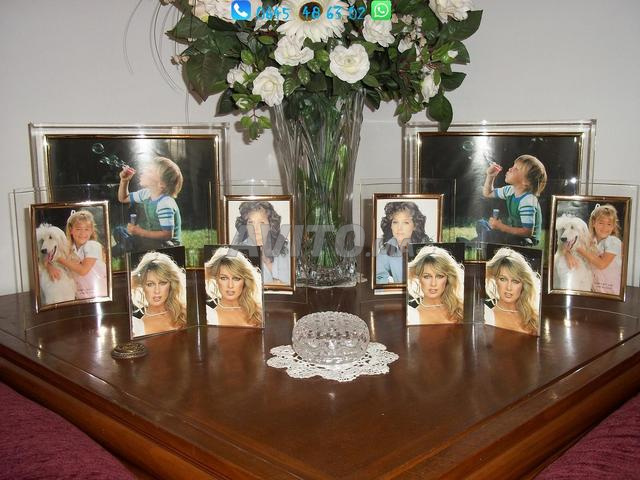 مجموعة للمطاعم والفنادق - 2