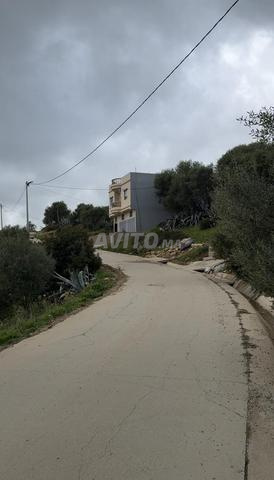 Terrain à vendre Melloussa Tanger - 2