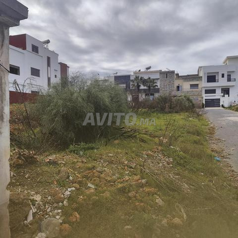 أرض فيلا أليانس دارنا - 2