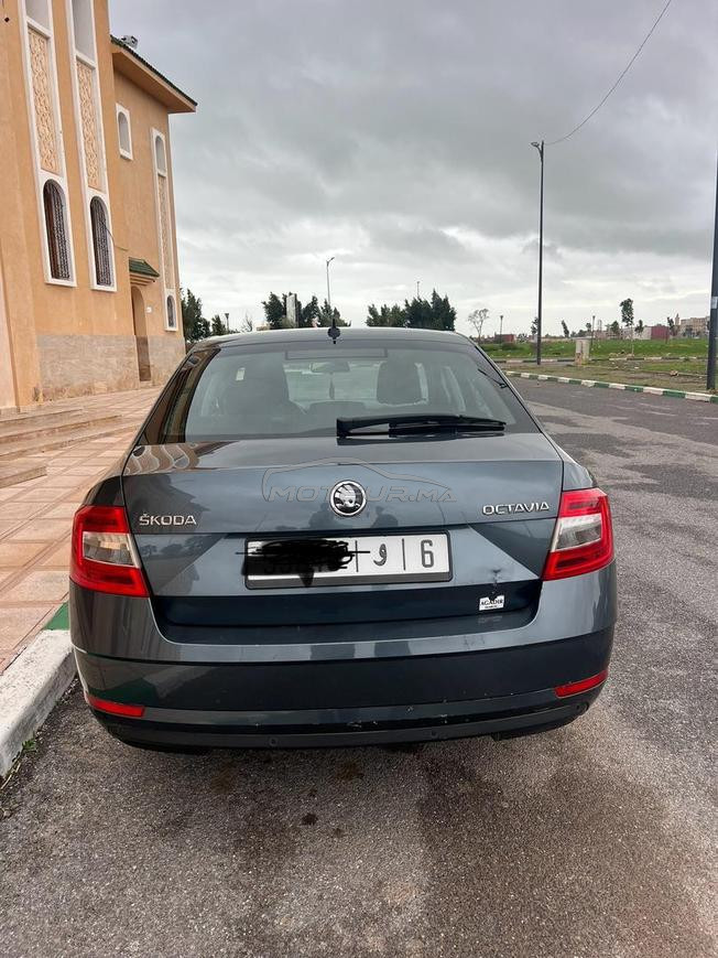 Skoda octavia 2019