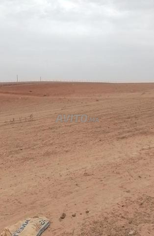 5 خدامة 300 متر محفظة بين تيفلت سيدي علال لبحراوي