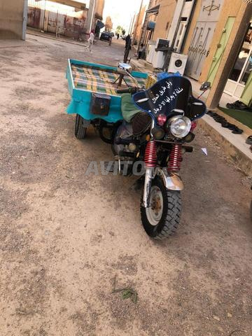 طريبورطور دوكير باقا نقية جرسيف - 2