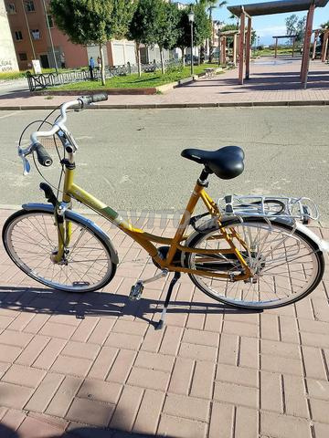 دراجة باتافوس - 2