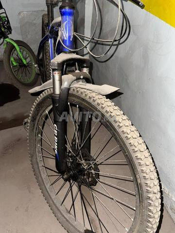 Velo VTT importé - 2