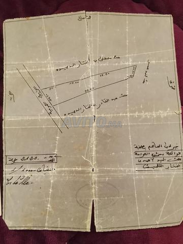 Terrain à vendre sur شاريع الكبير 30 - 2