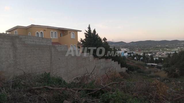 ملاليين اما فندف ماندي - 2