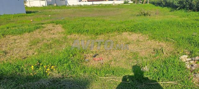 طريق مرتيل مطار - 2