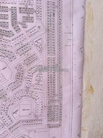 Terrain R2 Bir rami sud - 2