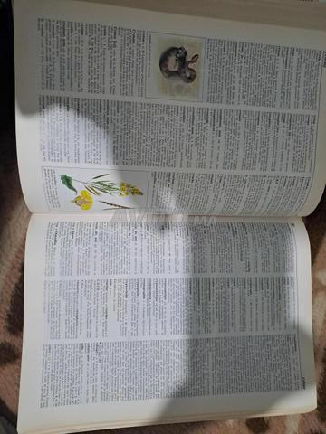 وادي الذهب الرشيدية - 2