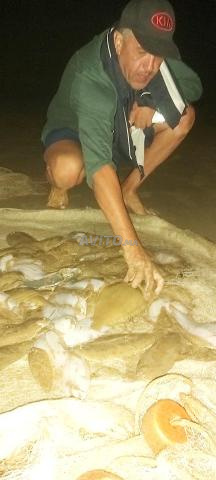 قطعة أرض موقعها ممتاز جداً على شاطئ البحر - 2