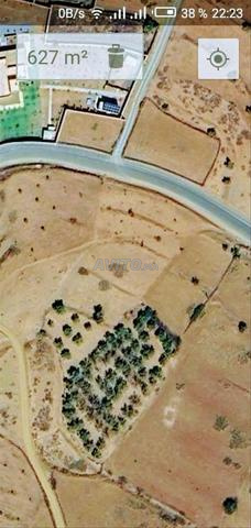 Terrain à vendre amismiz - 2