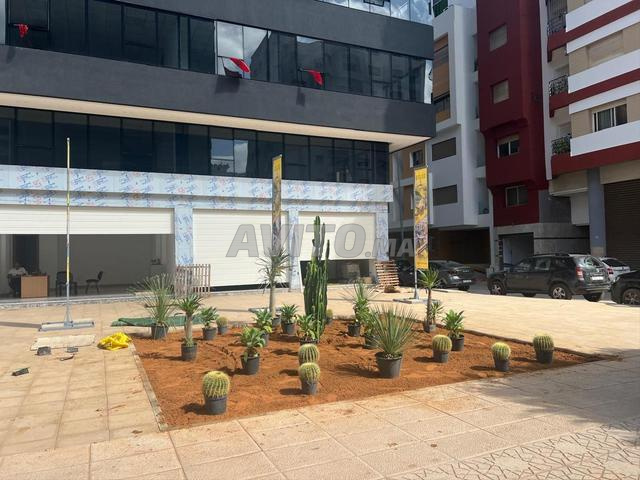 2 plateaux bureaux à louer