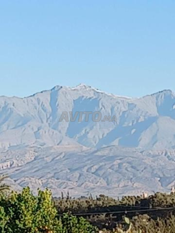 أرض ذات سندات للبيع - 2