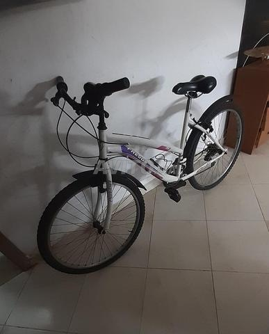 دراجة مازالت نقية - 2